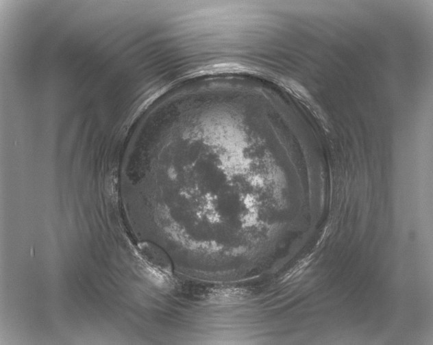 X0000061151225200511181225