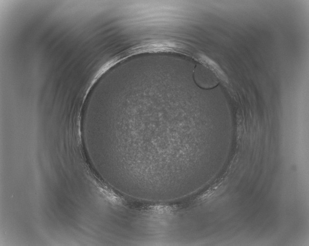 X0000061151226200511181225