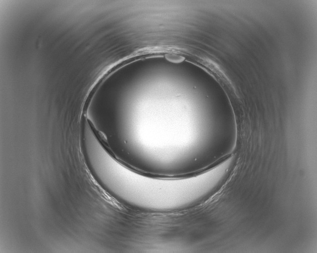 X0000061151228200511181225