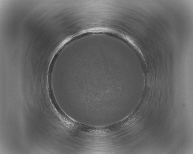 X0000061151229200511181225