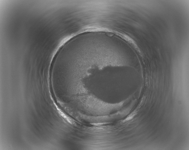 X0000061151231200511181225