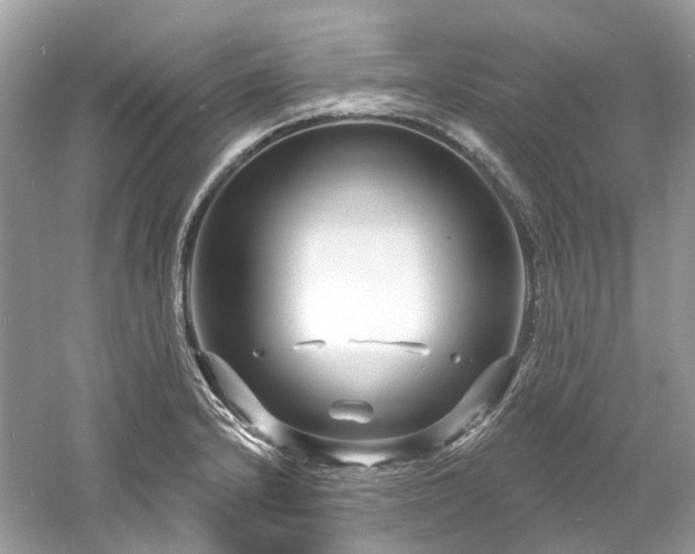 X0000061151232200511181225