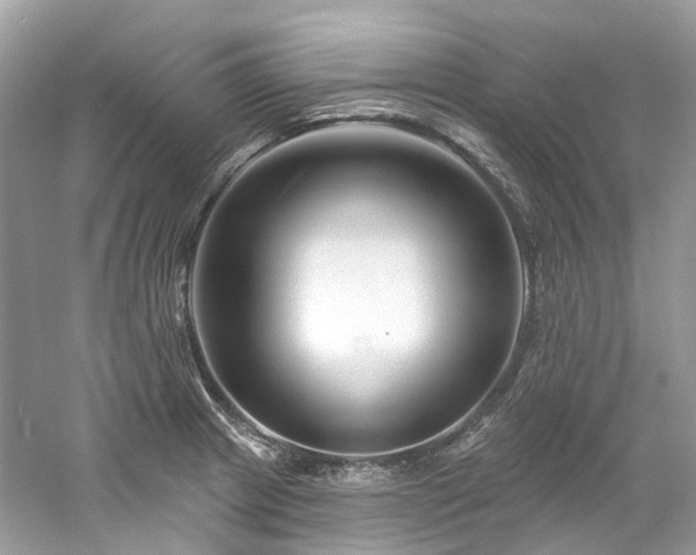 X0000061151233200511181226