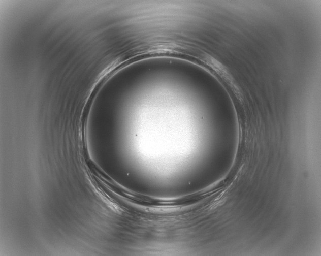 X0000061151234200511181226