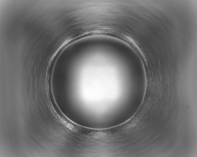 X0000061151235200511181226