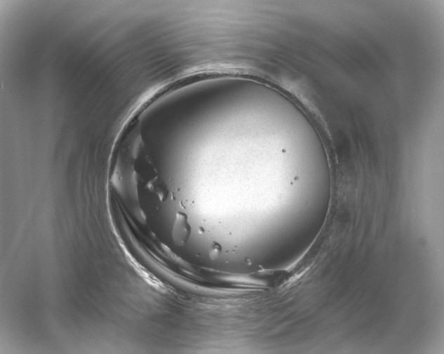 X0000061151237200511181226