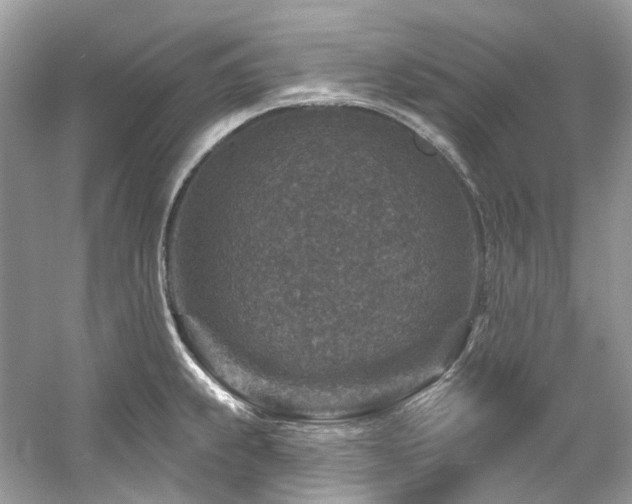 X0000061151239200511181226