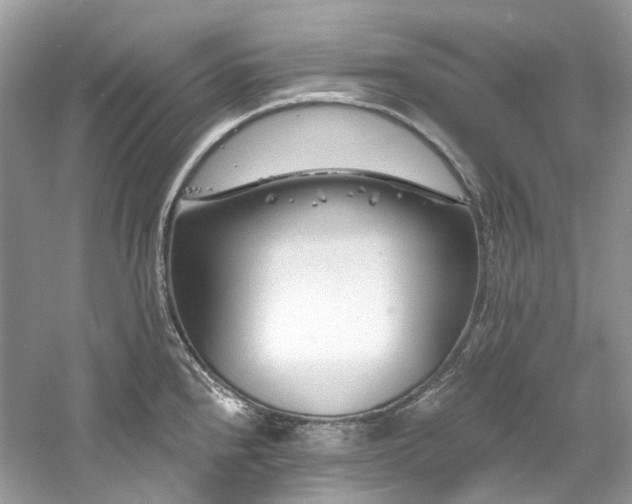 X0000061151240200511181226