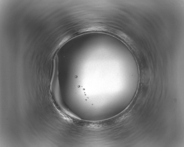 X0000061151241200511181226