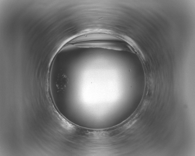 X0000061151244200511181226