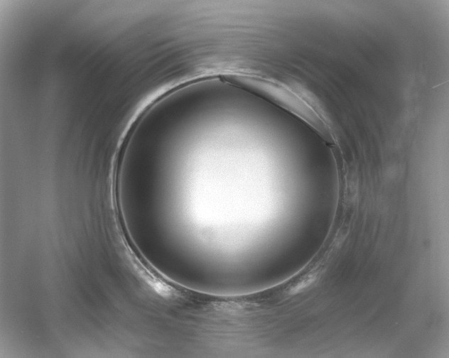 X0000061151246200511181226