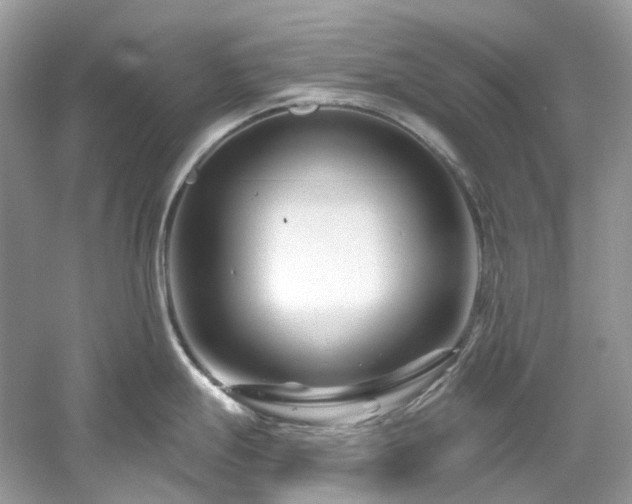 X0000061151247200511181226