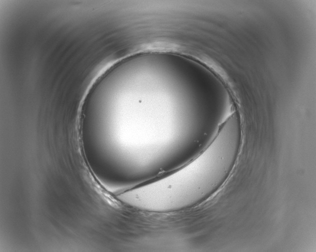 X0000061151248200511181226