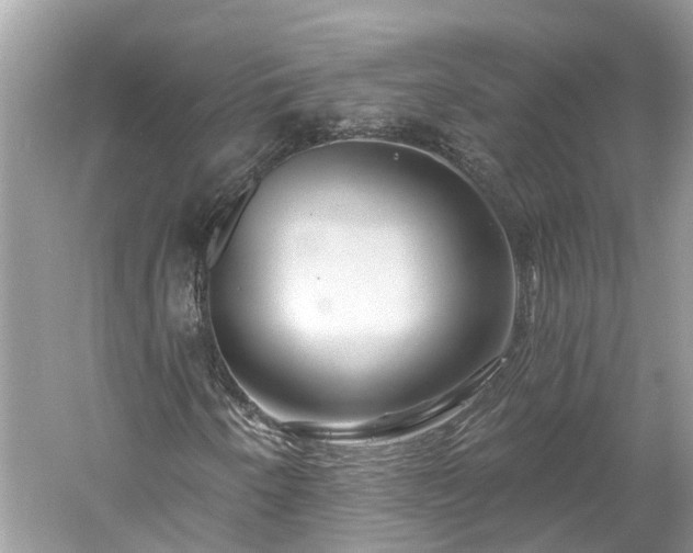 X0000061151250200511181225