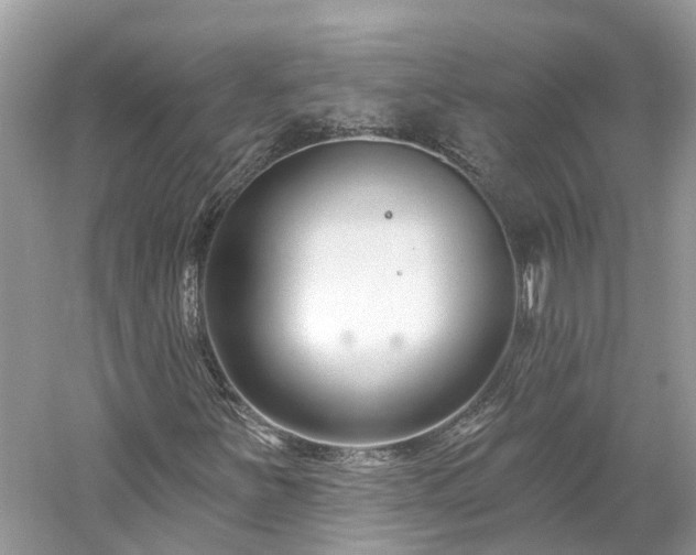 X0000061151251200511181225