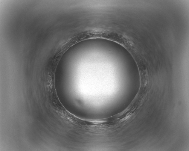 X0000061151253200511181225