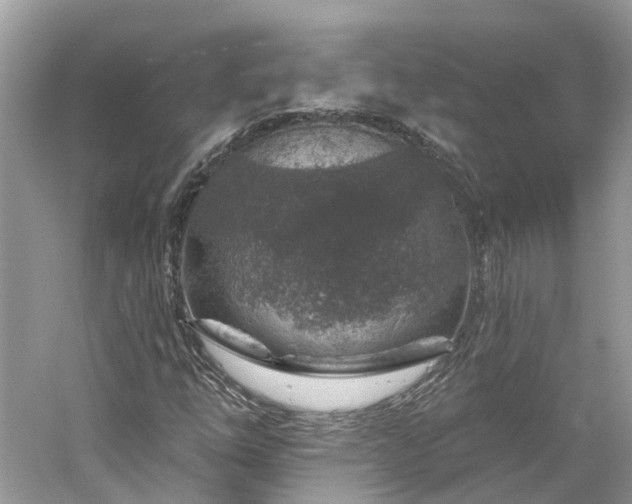 X0000061151254200511181225