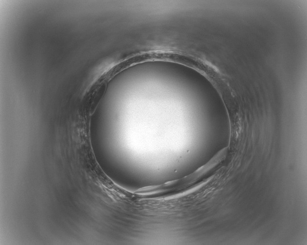 X0000061151255200511181225