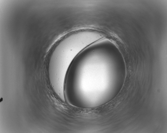 X0000061151256200511181225