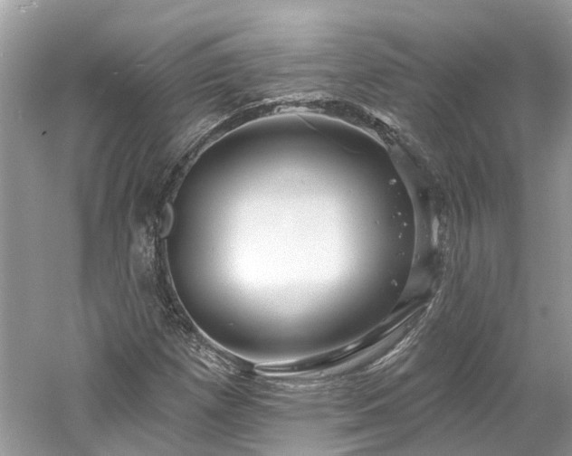 X0000061151257200511181225