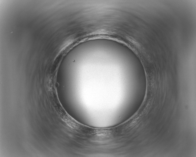 X0000061151258200511181225