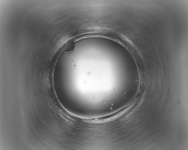 X0000061151259200511181225