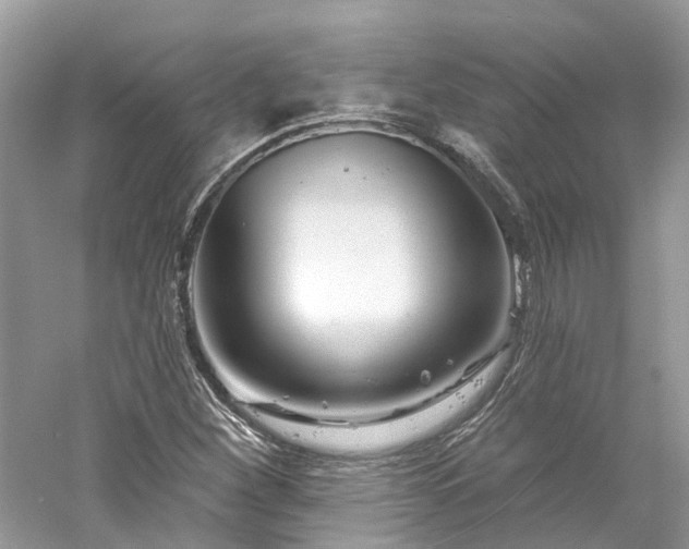 X0000061151260200511181225