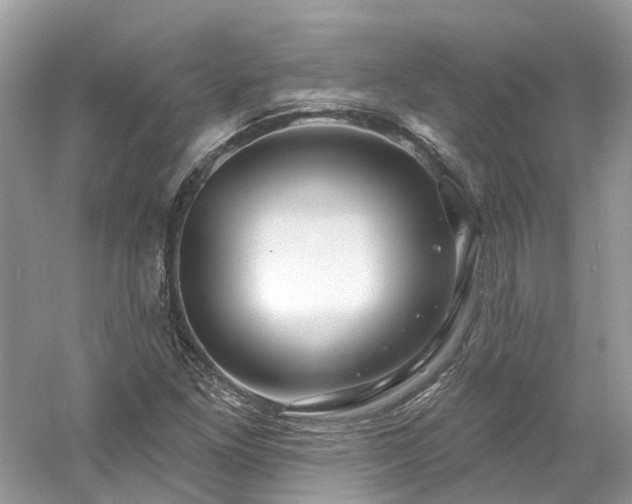 X0000061151261200511181225