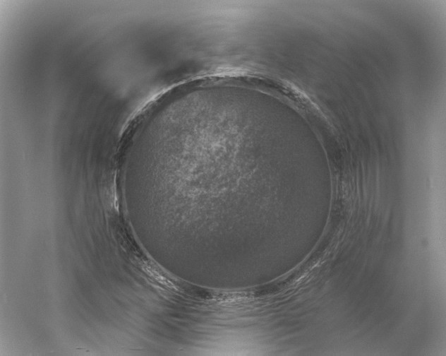 X0000061151262200511181225