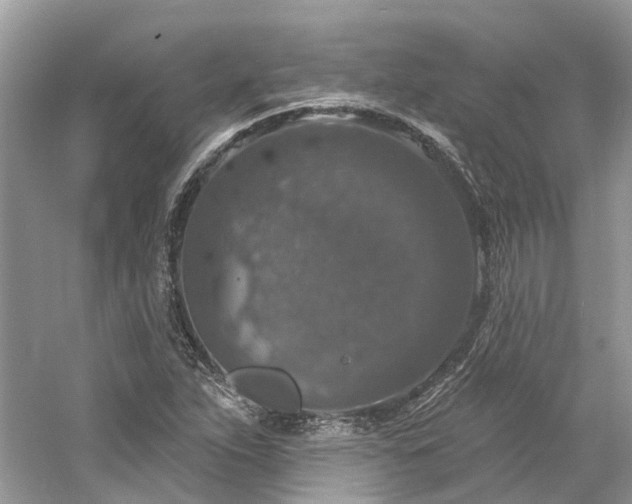 X0000061151263200511181225