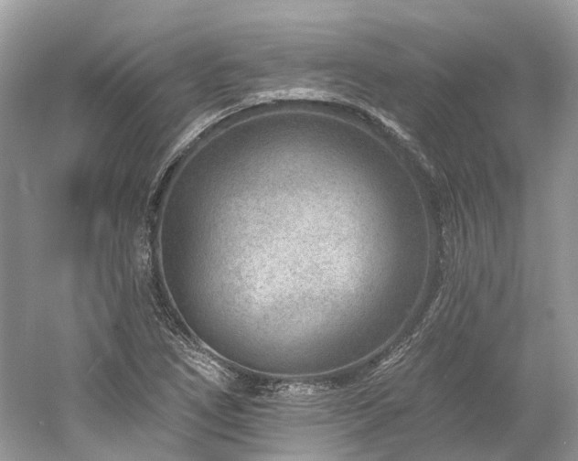 X0000061151266200511181225