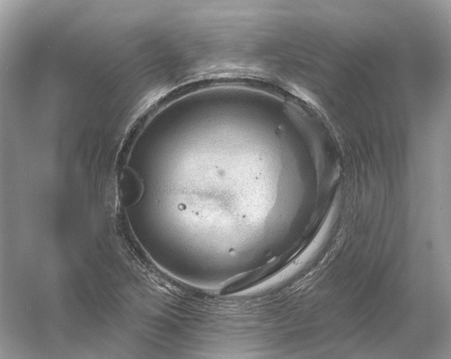 X0000061151267200511181225