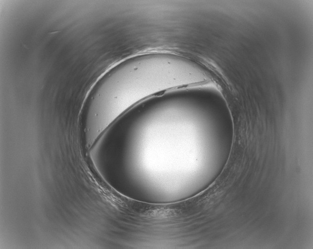 X0000061151268200511181225