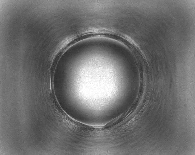 X0000061151269200511181225