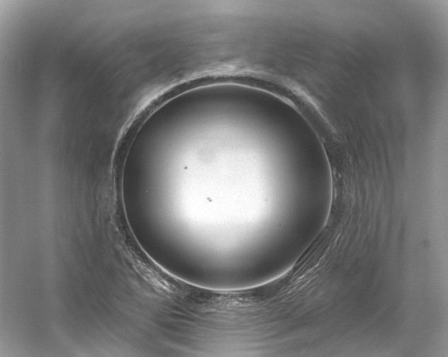 X0000061151270200511181225