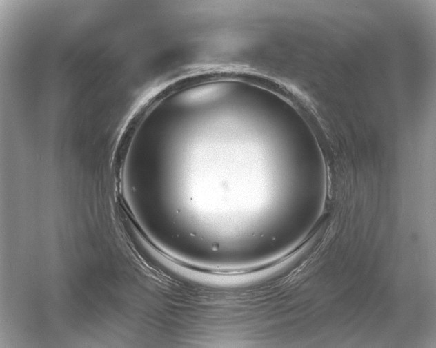 X0000061151271200511181225