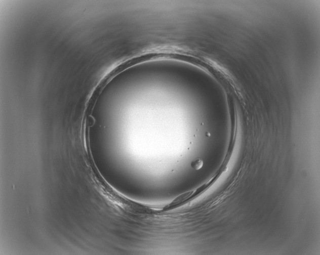 X0000061151272200511181225