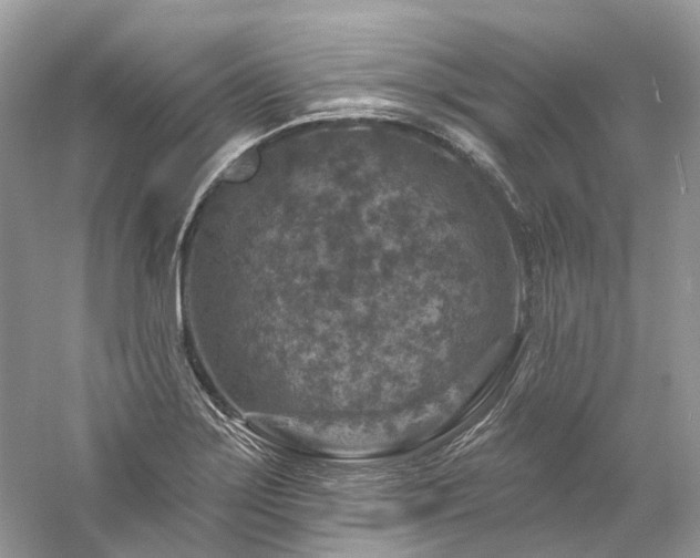 X0000061151275200511181225