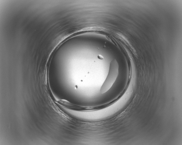 X0000061151276200511181224