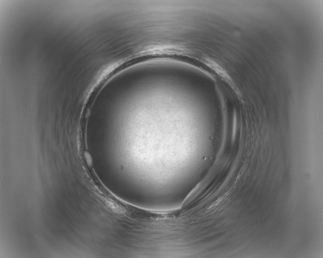 X0000061151277200511181224