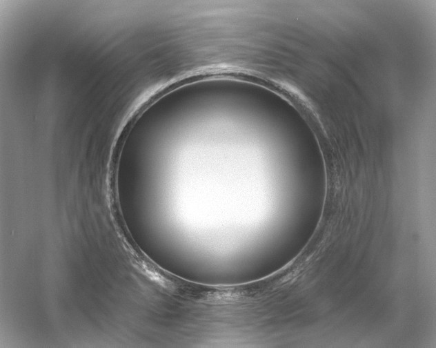 X0000061151278200511181224