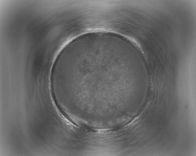 X0000061151279200511181224