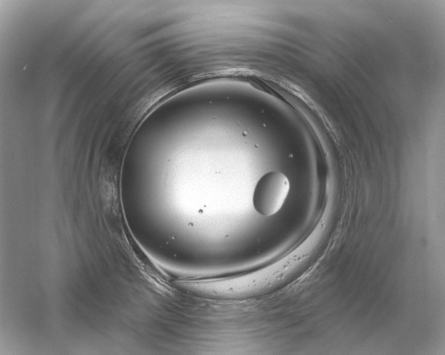 X0000061151281200511181224