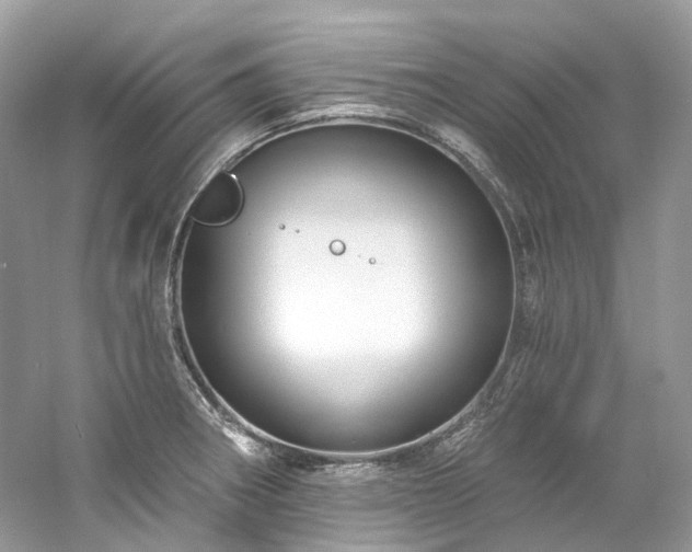 X0000061151282200511181224