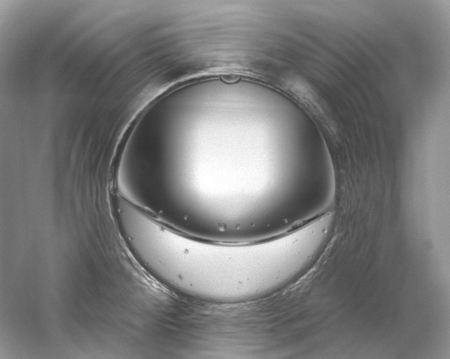 X0000061151284200511181224