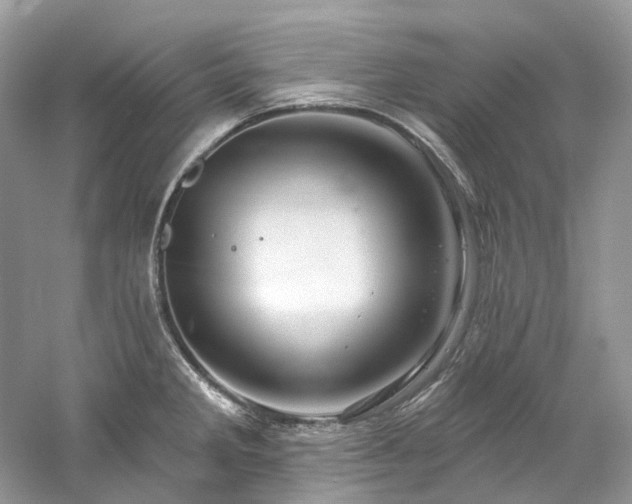 X0000061151285200511181224