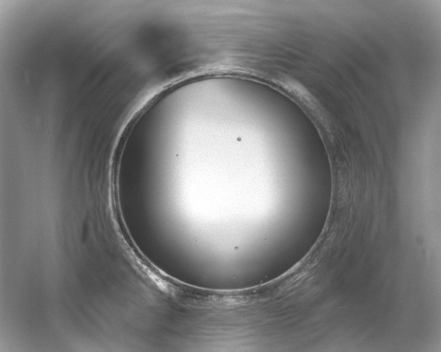 X0000061151286200511181224