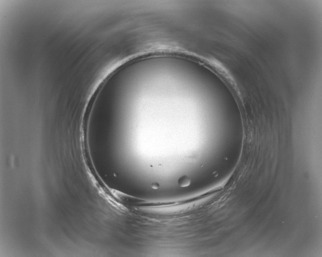 X0000061151287200511181224