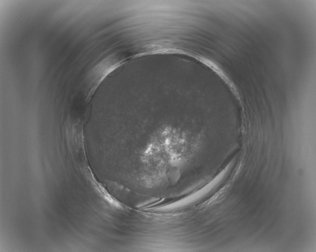 X0000061151289200511181224