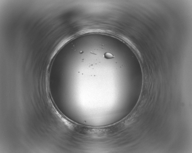 X0000061151290200511181224